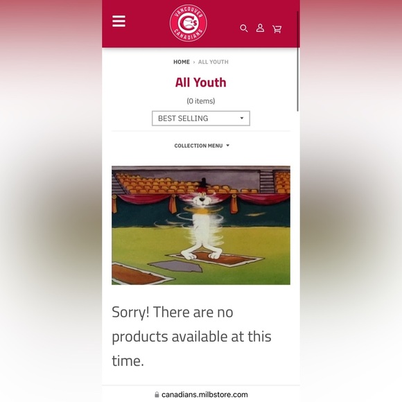 Signed Canadians (Nat Bailey) XL Youth Jersey - Picture 11 of 11